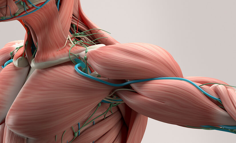 Anatomia S&P500